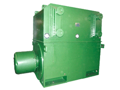 YR5005-10/315KWYRKS系列高压电动机