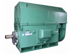 YR5005-10/315KWY系列6KV高压电机
