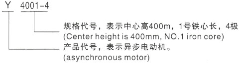 西安泰富西玛Y系列(H355-1000)高压YR5005-10/315KW三相异步电机型号说明